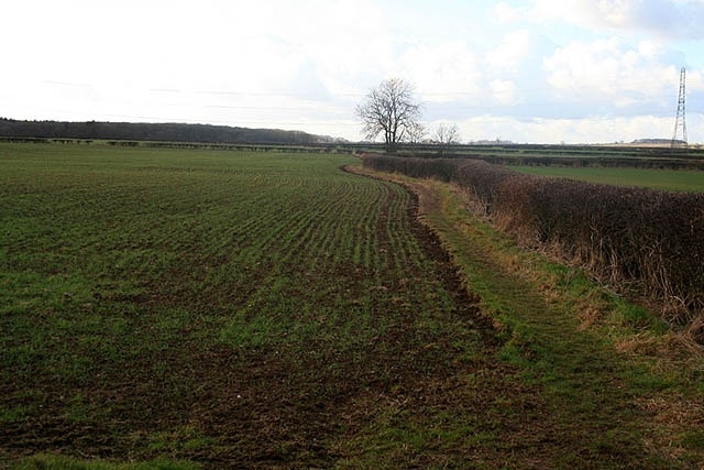 Path to Park Wood From the Caunton to Norwell Road.