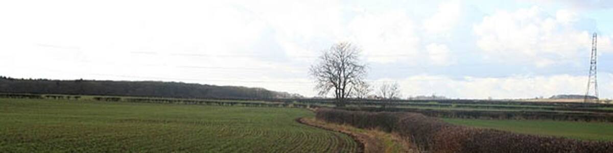 Photo "Path to Park Wood From the Caunton to Norwell Road." by David Lally (Creative Commons Attribution-Share Alike 2.0) / Cropped from original