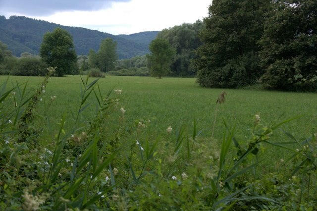 Naturschutzgebiet, Ludwigshafen (Nature reserve, Ludwigshafen)