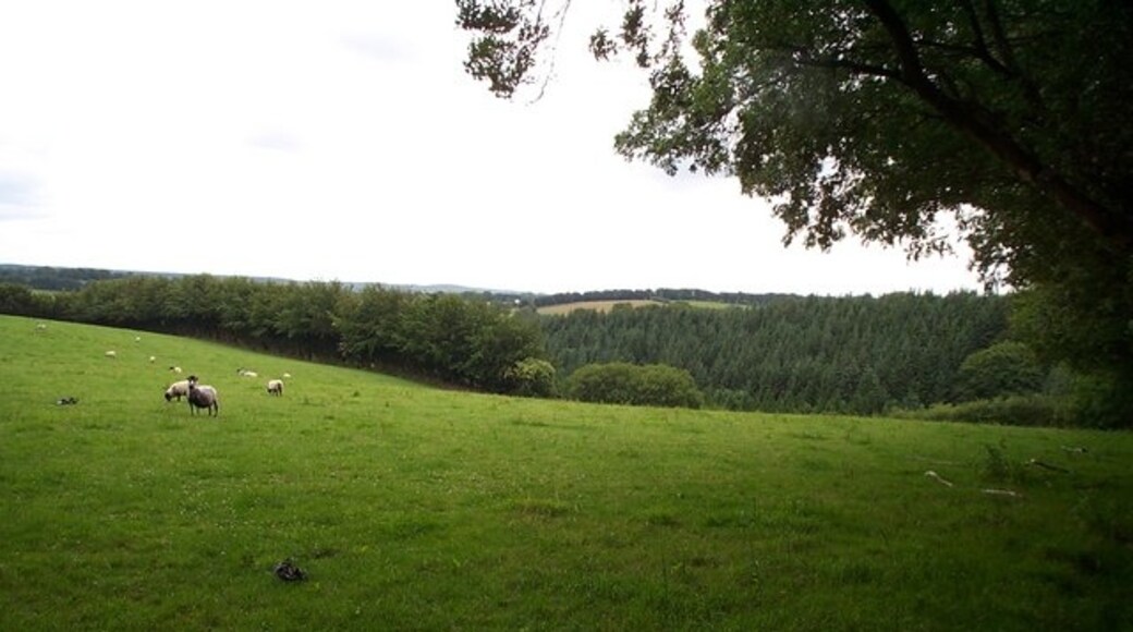 "Huish Champflower"-foto av Barbara Cook (CC BY-SA) / Urklipp från original