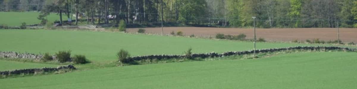 Photo "Mill Cottages and Burnside Belts View towards the Raemoir junction from the corner of Hawthorn Wood. The rise of Hill of Fare is in the right rear." by Stanley Howe (Creative Commons Attribution-Share Alike 2.0) / Cropped from original