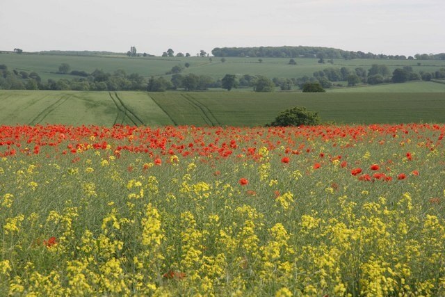 "Stowe IX Churches"-foto av Richard Smith (CC BY-SA) / Urklipp från original