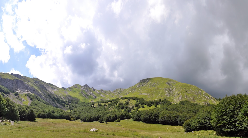 Foto "Taman Nasional Appennino Tosco-Emiliano" oleh GiorgioGaleotti (CC BY) / Dipotong dari foto asli