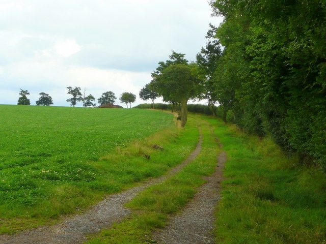 Farm track Gives access to fields on and around the hill between Clehonger and Eaton Bishop.