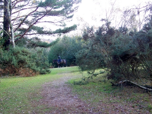 Horse and Rider, Pipers Wait A horse and rider crosses the path we were walking on as we took a walk from the car park at Pipers Wait.