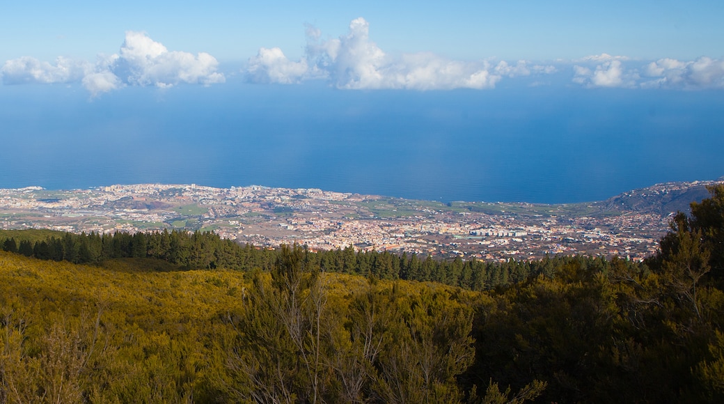 Photo "Orotava Valley" by Bengt Nyman (CC BY) / Cropped from original