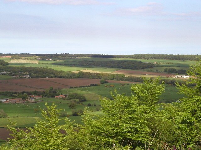 Foto „Silpho“ von Andy Beecroft (CC BY-SA)/zugeschnittenes Original