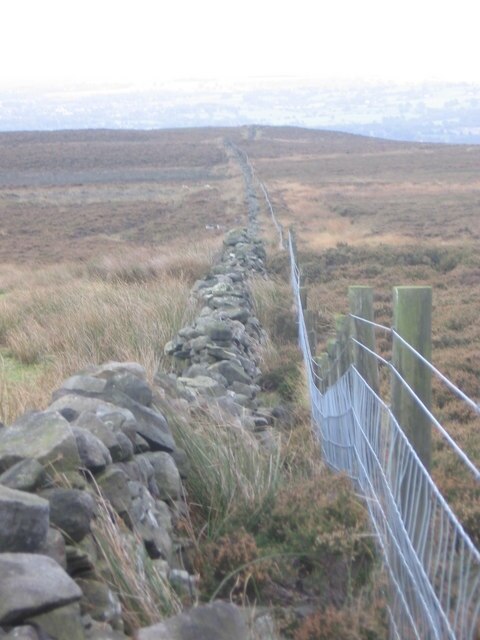 Foto “Great Timble” tomada por Clare Smith (CC BY-SA); recorte de la original