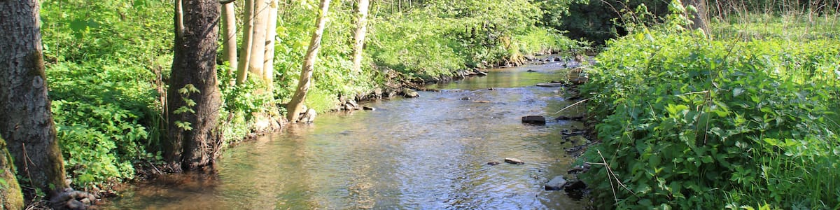 Photo "Der Geiselbach im unteren Teufelsgrund bei Hüttelngesäß, Hessen" by Freak-Line-Community (Creative Commons Attribution-Share Alike 3.0) / Cropped from original