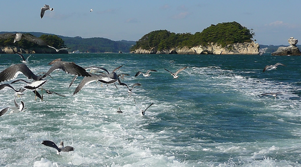 Foto ‘Matsushima’ van lienyuan lee (CC BY) / bijgesneden versie van origineel