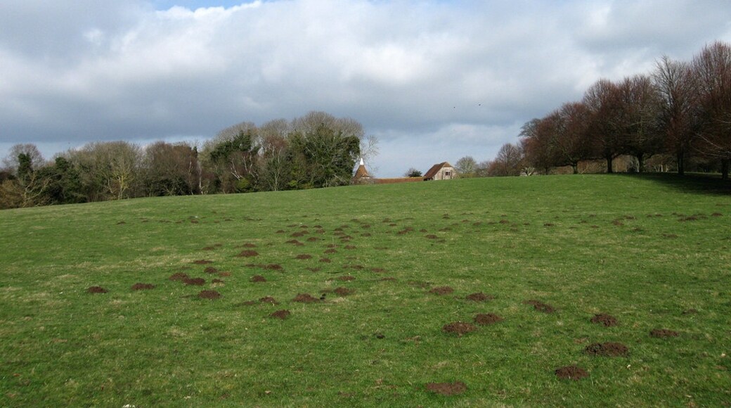 Foto "Westham" de Simon Carey (CC BY-SA) / Recortada do original