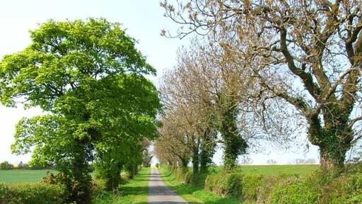 Photo "Stillington and Whitton" by Oliver Dixon (CC BY-SA) / Cropped from original