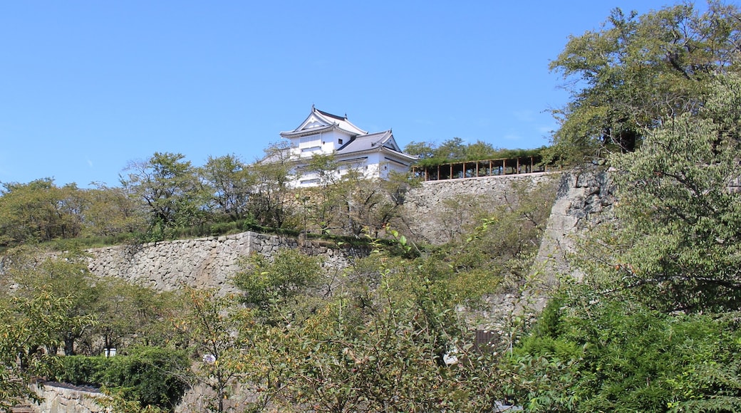 Tsuyama Castle, Tsuyama, Okayama Prefecture, Japan