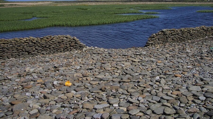 Photo "Wetland near Bride's Ness. Looking from the pebble beach across the North Ronaldsay sheep dyke to an area of wetland." by Lis Burke (Creative Commons Attribution-Share Alike 2.0) / Cropped from original