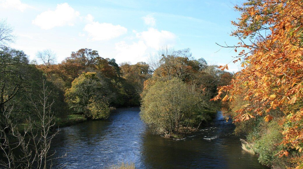 Foto "Setmurthy" de Keith Pitchforth (CC BY-SA) / Recortada do original