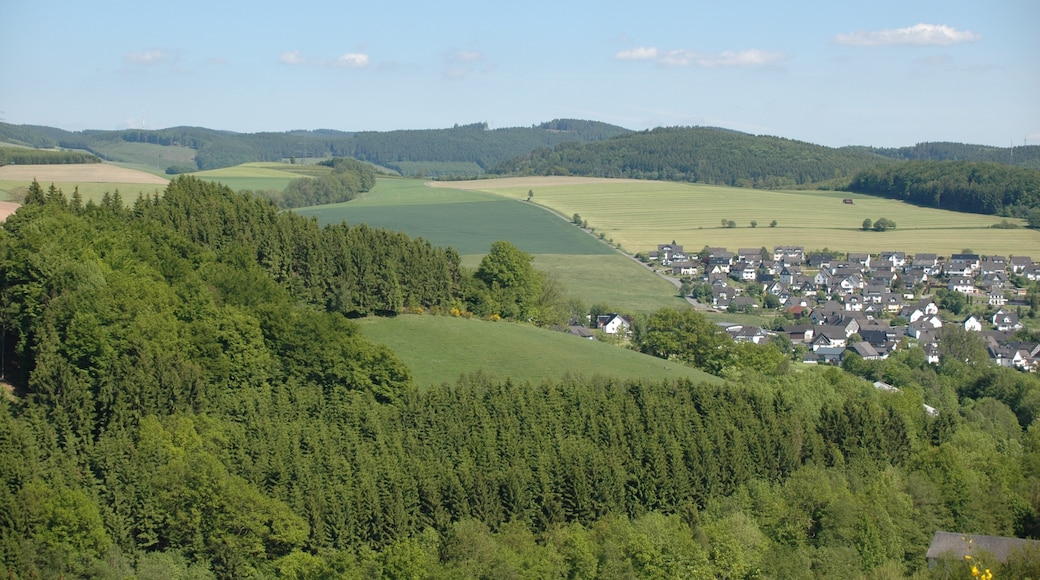 Billede "Schmallenberg" af Axel Schwenke (CC BY-SA) / beskåret fra det originale billede