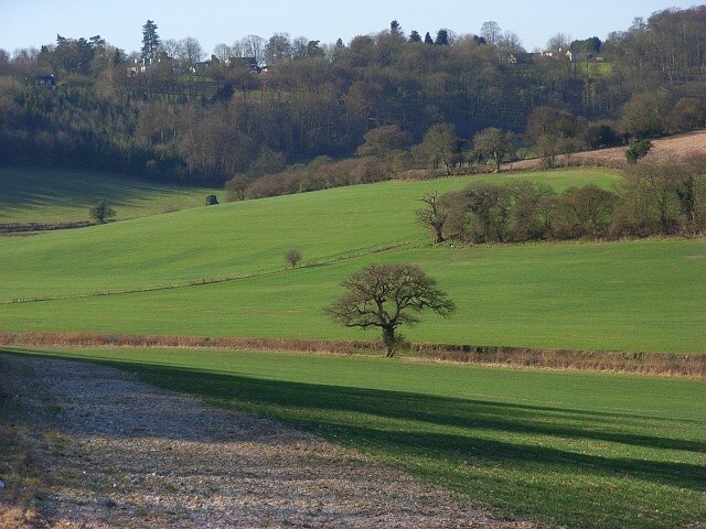 Photo "Fawley" by Andrew Smith (CC BY-SA) / Cropped from original