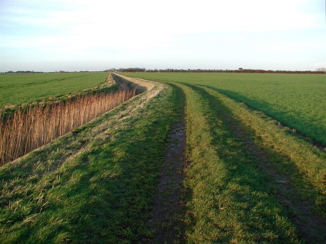 Billede "Sunk Island" af Paul Glazzard (CC BY-SA) / beskåret fra det originale billede