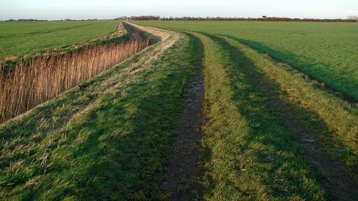 Billede "Sunk Island" af Paul Glazzard (CC BY-SA) / beskåret fra det originale billede