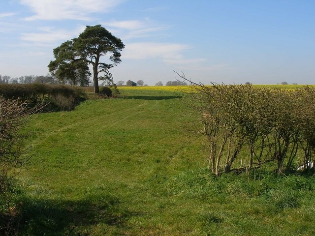 Foto „Brafield on the Green“ von Chris Walpole (CC BY-SA)/zugeschnittenes Original
