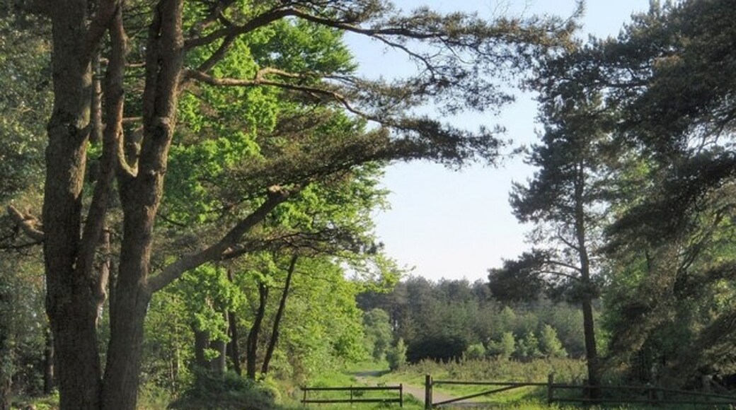 Kuva ”Mamhead” käyttäjältä Derek Harper (CC BY-SA) / rajattu alkuperäisestä kuvasta