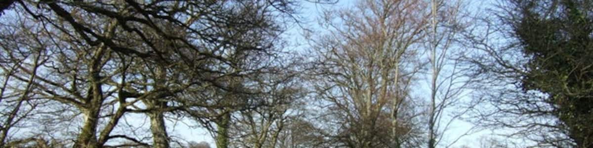 Photo "Lane to Voulsdon Cross Go as fast as you like. The delimiting signs at the north end of Bratton Clovelly, and a view down the treelined country lane north." by Derek Harper (Creative Commons Attribution-Share Alike 2.0) / Cropped from original
