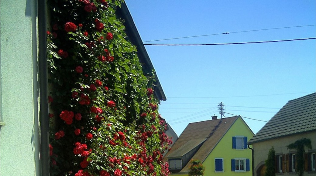 Foto "Ihringen" por pictures Jettcom (CC BY) / Recortada de la original