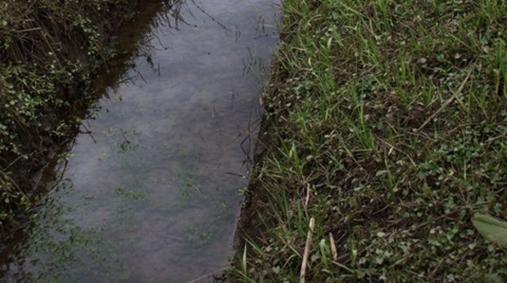 Foto “Ryther con Ossendyke” tomada por Matthew Hatton (CC BY-SA); recorte de la original