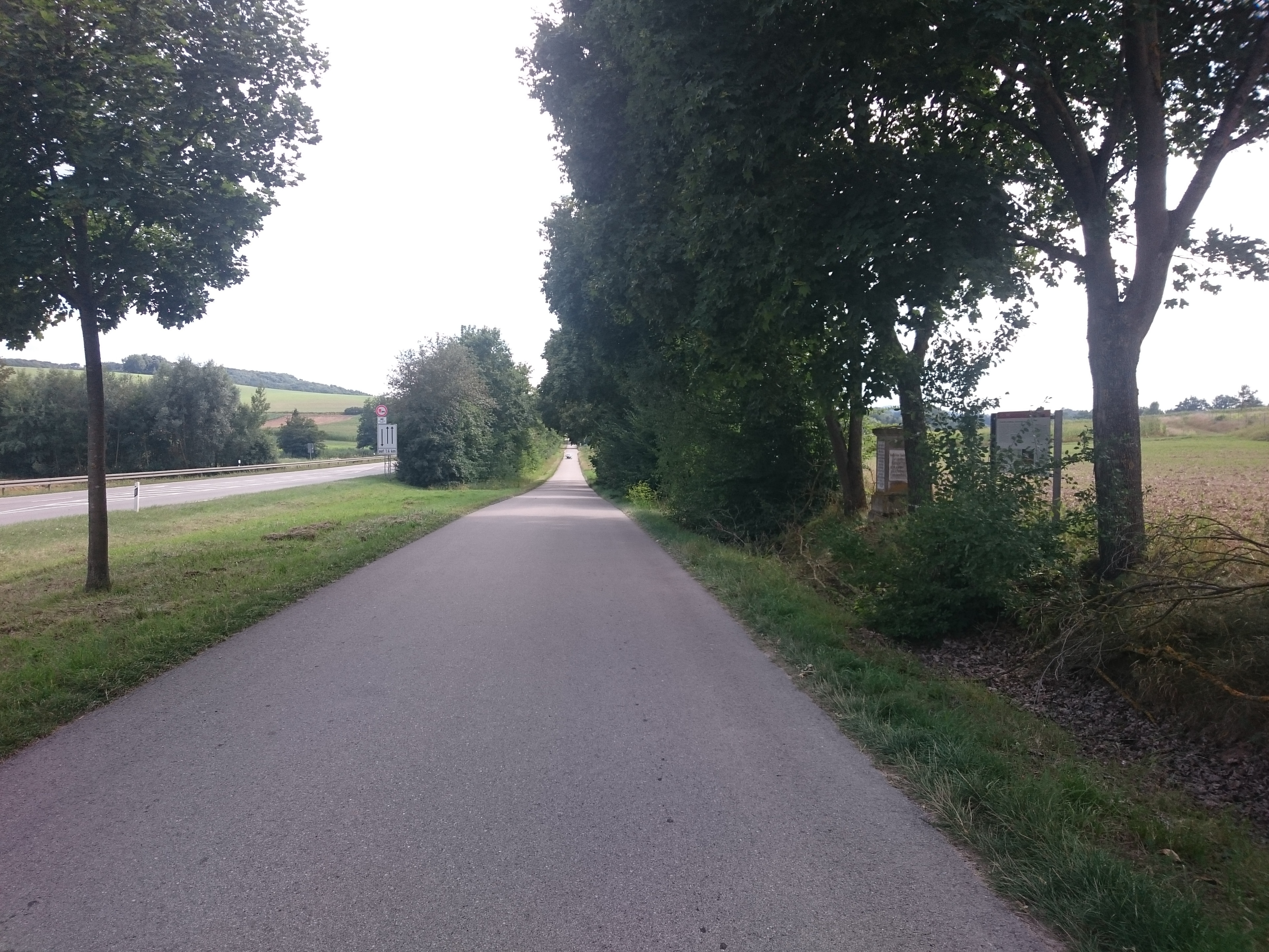 « Ellingen», photo de Lutz Lange (CC BY-SA) / rognée de l’originale