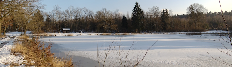 "Merschroeder Teich" in Romrod east of Strebendorf, Hesse, Germany