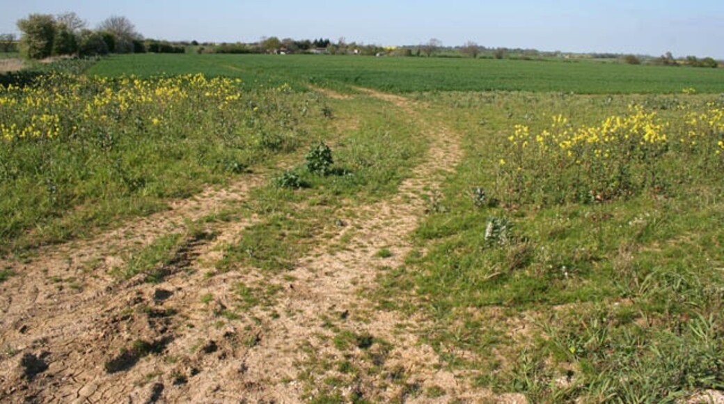 Billede "Aslackby and Laughton" af Kate Jewell (CC BY-SA) / beskåret fra det originale billede