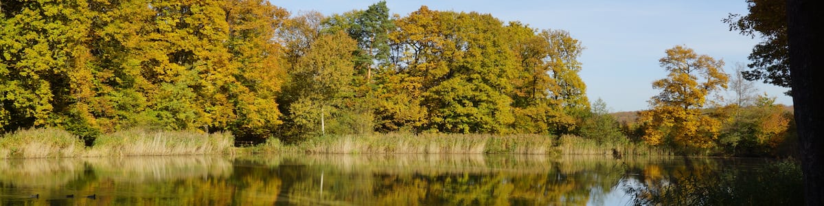 Photo "Hamberger-See 11/2014" by A.Grünberger (Creative Commons Attribution 3.0) / Cropped from original