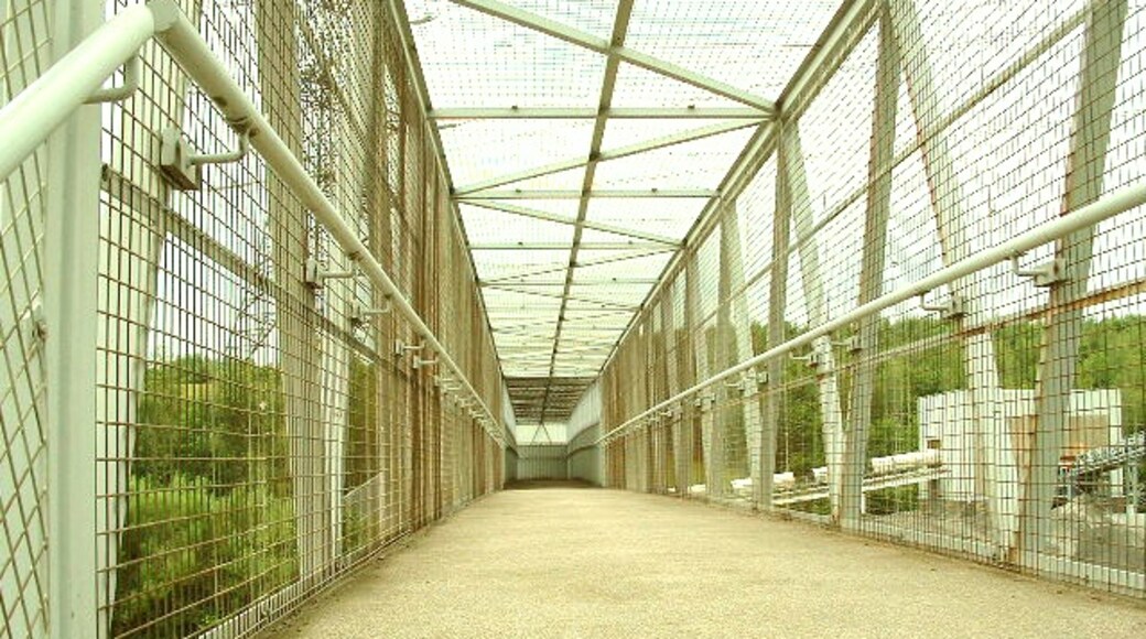 Kuva ”Long Drax” käyttäjältä Gordon Kneale Brooke (CC BY-SA) / rajattu alkuperäisestä kuvasta