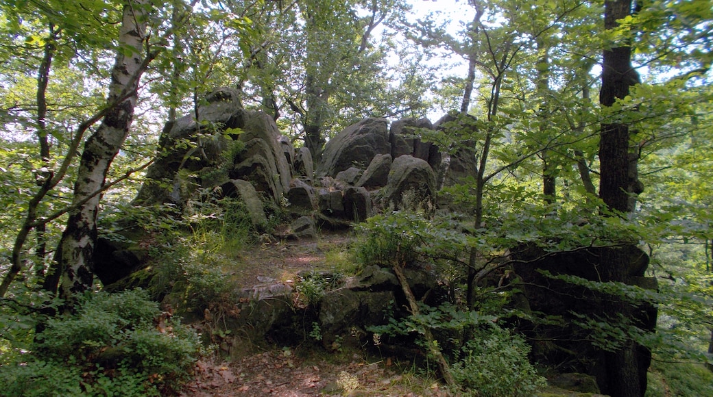 Foto "Somsdorf" por Geri-oc (CC BY-SA) / Recortada de la original