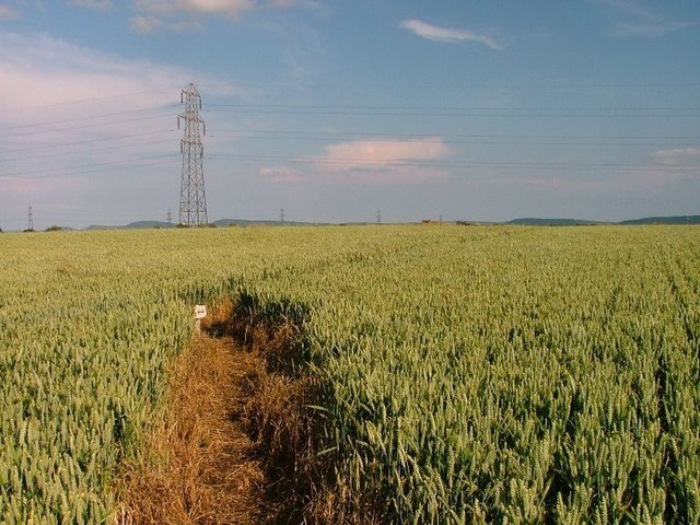 Foto “Low Worsall” tomada por Mick Garratt (CC BY-SA); recorte de la original