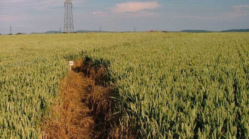 Foto “Low Worsall” tomada por Mick Garratt (CC BY-SA); recorte de la original