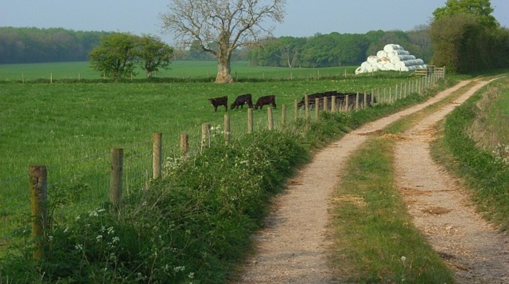 Photo "Ludgershall" by Andrew Smith (CC BY-SA) / Cropped from original