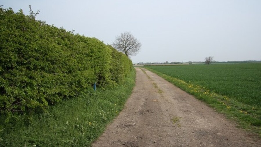 Photo "Parish boundary Hedgeline off hall Lane forming the boundary of Grange de Lings and Nettleham parishes" by Richard Croft (Creative Commons Attribution-Share Alike 2.0) / Cropped from original