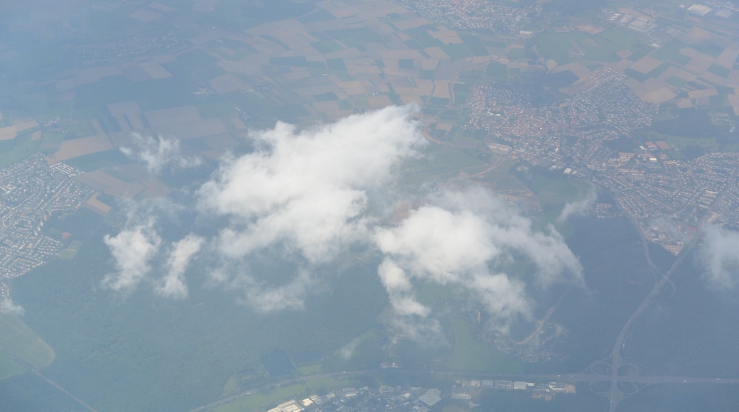 ภาพ "Lammerspiel" โดย flightlog (CC BY) / ตัดภาพจากขนาดต้นฉบับ