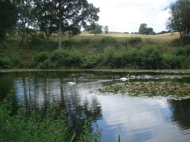 "Kyre"-foto av Trevor Rickard (CC BY-SA) / Urklipp från original