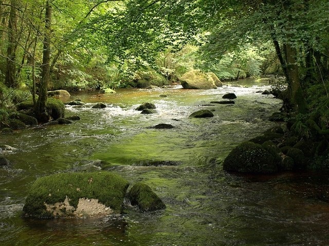 River Teign by Dogmarsh Wood. Another view looking upstream a little further south than 915613.