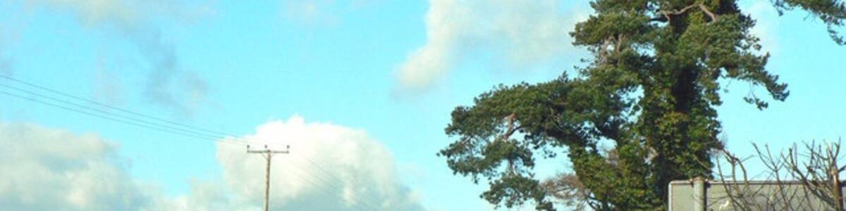 Photo "Lane off Sycamore Cross near Bonvilston" by Mick Lobb (Creative Commons Attribution-Share Alike 2.0) / Cropped from original