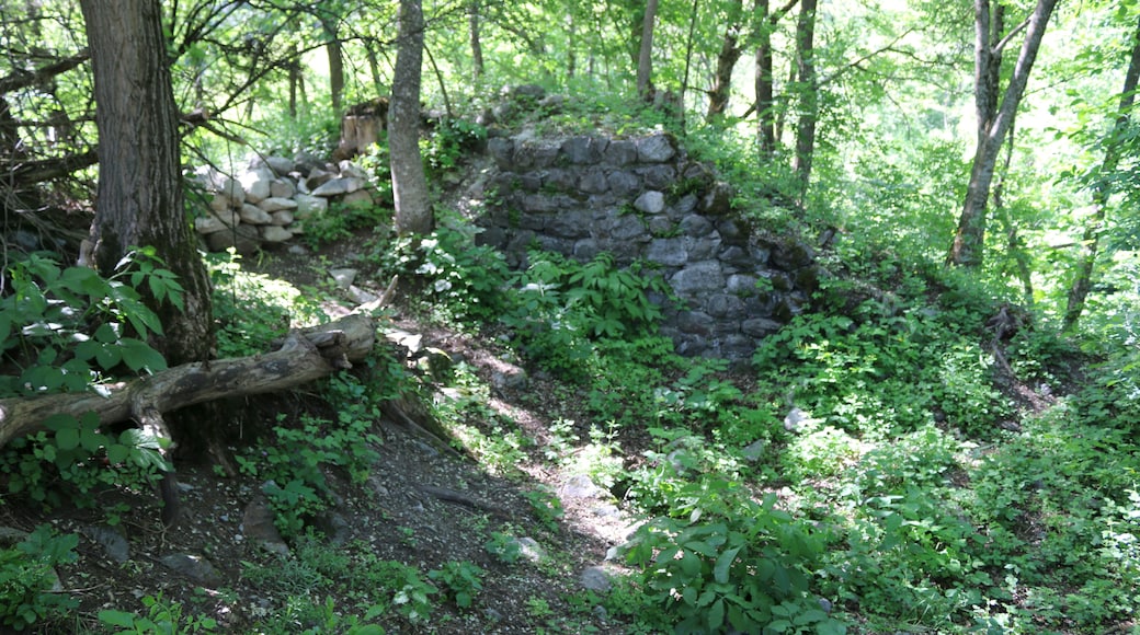 Foto "Riga Davanti" por SBT (CC BY-SA) / Recortada de la original