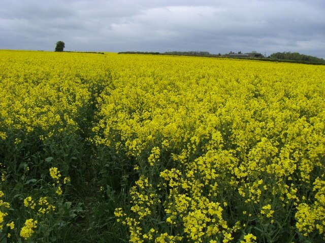 Photo "Upper Winchendon" by Shaun Ferguson (CC BY-SA) / Cropped from original