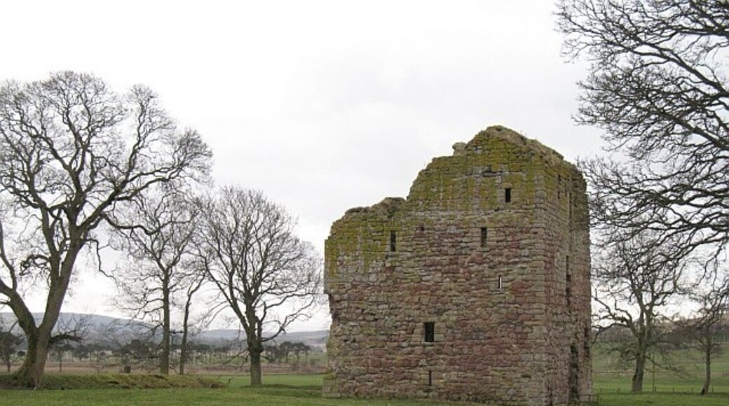 Photo "Covington" by Richard Webb (CC BY-SA) / Cropped from original