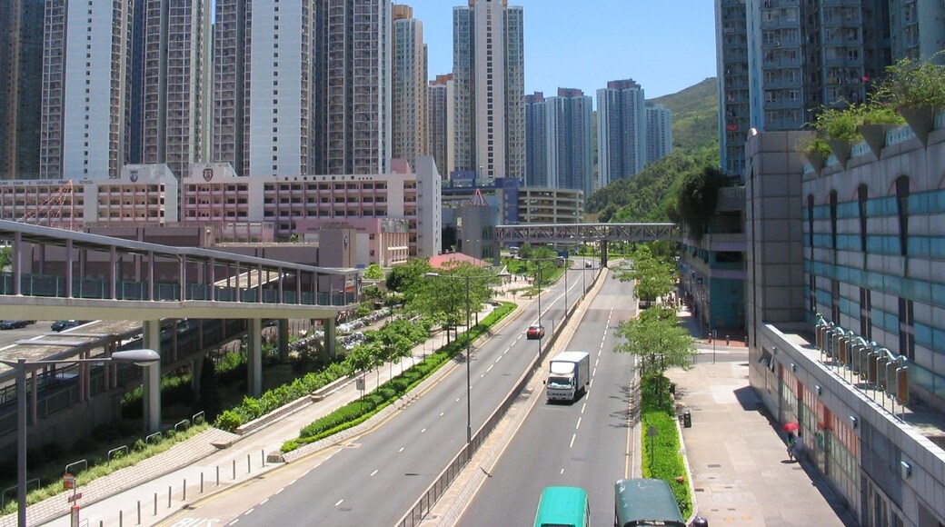 Photo "Tseung Kwan O" by Baycrest (CC BY-SA) / Cropped from original