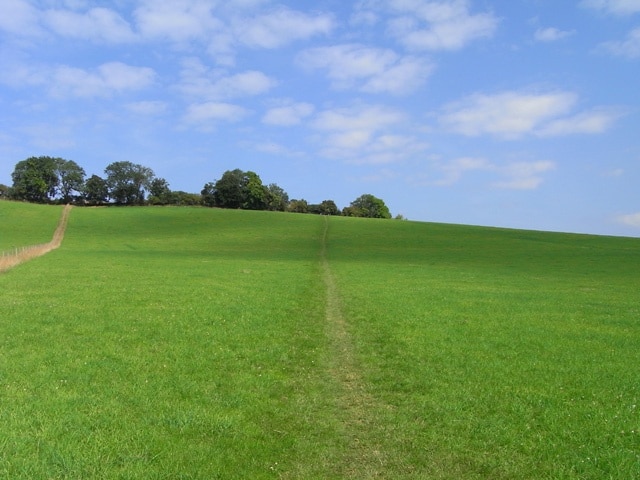 Pasture at Wooburn The footpath is seen climbing the hillside towards Flackwell Heath.