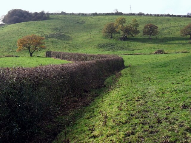 « Hyde», photo de Stephen Burton (CC BY-SA) / rognée de l’originale