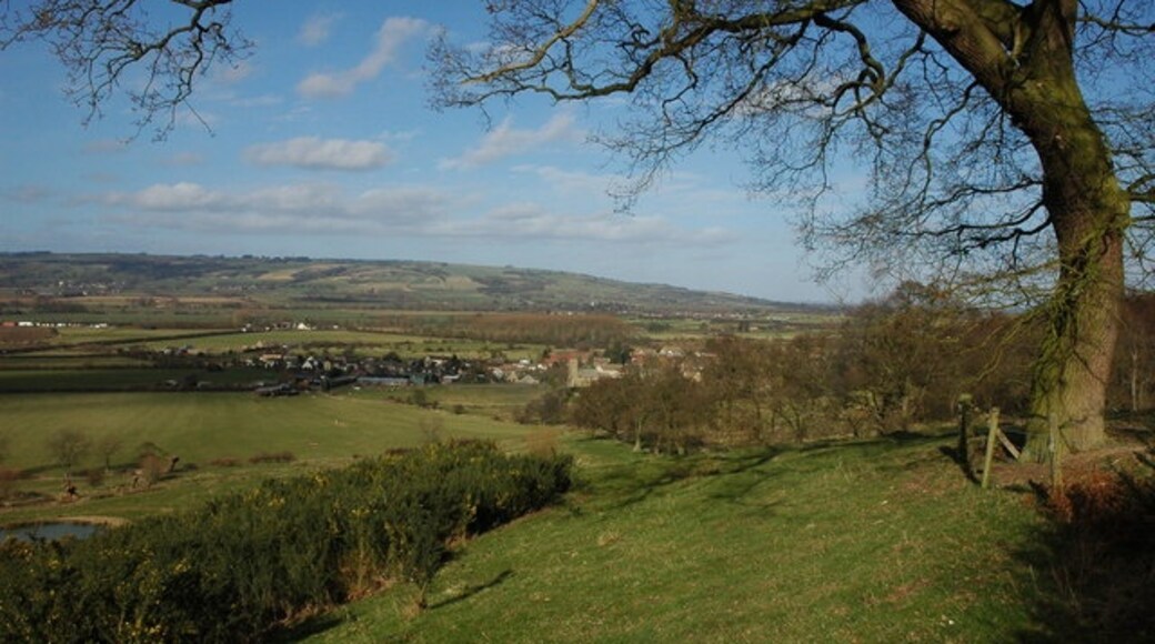 Photo "Teddington" by Philip Halling (CC BY-SA) / Cropped from original