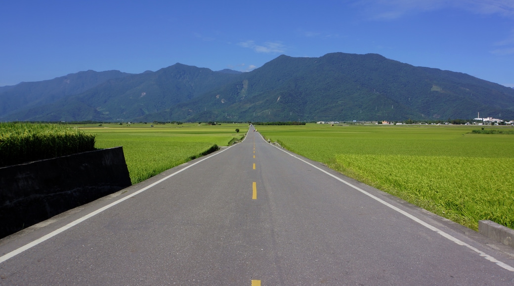 ภาพ "จุดชมวิวถนนโบ๋หล่าง" โดย lienyuan lee (CC BY) / ตัดภาพจากขนาดต้นฉบับ